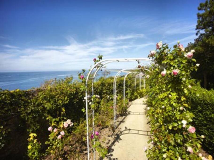 Studio De La Mer A Donville Les Bains Экстерьер фото